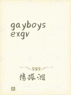 gayboysexgv封面