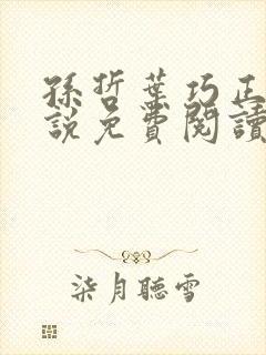 孙哲叶巧正版小说免费阅读封面