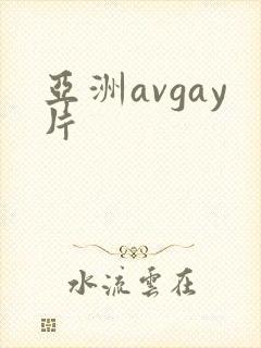 亚洲avgay片