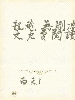 龙藏 无删减全文免费阅读
