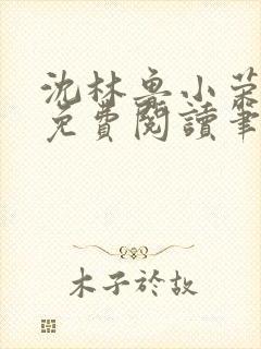 沈林鲁小荣小说免费阅读笔趣阁