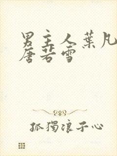 男主人叶凡女主唐若雪