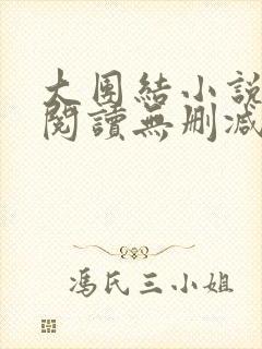 大团结小说在线阅读无删减