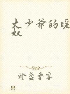 大少爷的暖床小奴