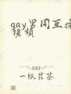 gay男同互操视频