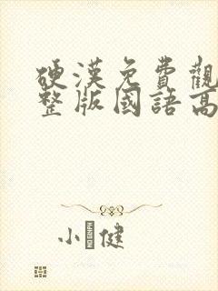 硬汉免费观看完整版国语高清