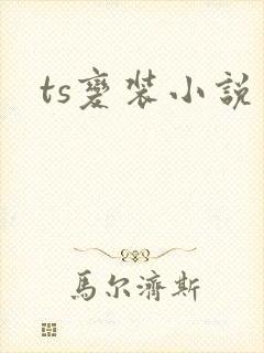 ts变装小说