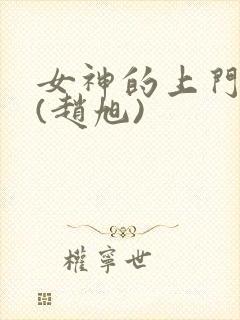 女神的上门贵婿(赵旭)