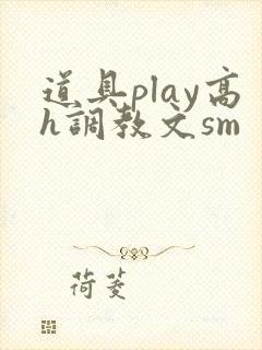 道具play高h调教文sm