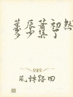 叶辰萧初然更新多少集了封面