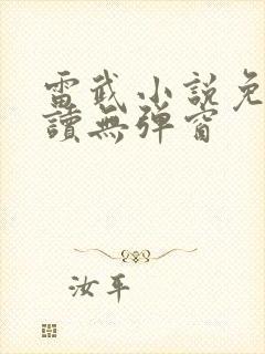 雷武小说免费阅读无弹窗