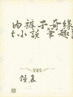 内裤子奇缘txt小说 笔趣阁封面