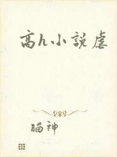 高h小说虐