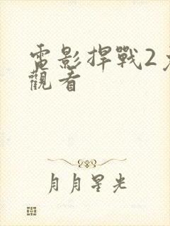 电影捍战2免费观看