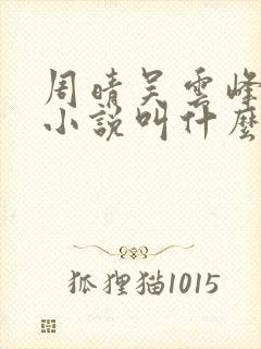 周晴吴云峰李磊小说叫什么封面