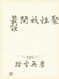 最开放性聚会小说封面