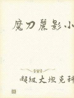 魔刀丽影小说