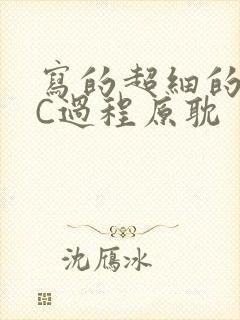 写的超细的多肉C过程原耽