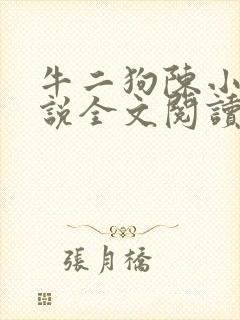 牛二狗陈小燕小说全文阅读封面