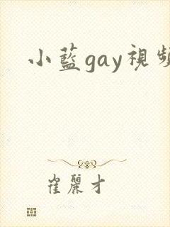 小蓝gay视频
