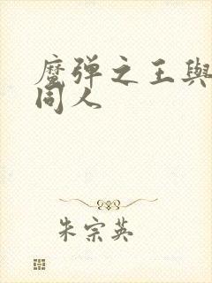 魔弹之王与战姬同人封面