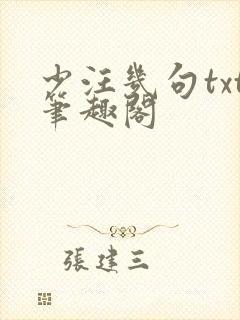 少汪几句txt笔趣阁