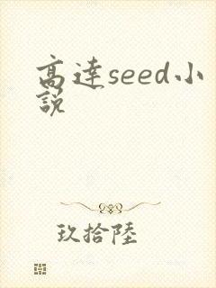 高达seed小说