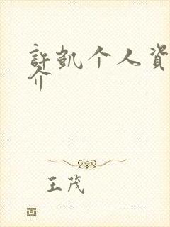 许凯个人资料简介