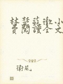 林楚苏彻小说免费阅读全文最新章节