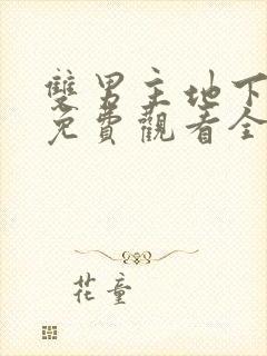 双男主地下偶像免费观看全集动漫