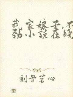 我家娘子,不对劲小说在线免费