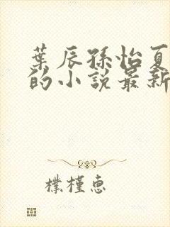 叶辰孙怡夏若雪的小说最新