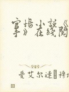 官场小说《一把手》在线阅读封面