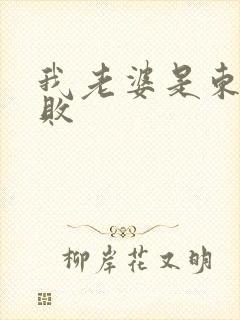 我老婆是东方不败