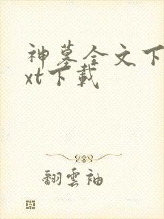 神墓全文下载txt下载