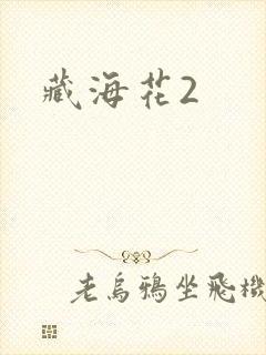 藏海花2