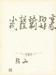 小说舔狗重生,我狂刷好感度小说