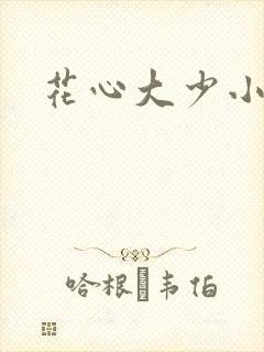花心大少小说