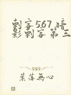 刺客567 暗影刺客第三季