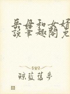 岳母和女婿的小说笔趣阁免费阅读全文无弹窗