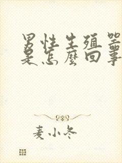 男性生殖器异味是怎么回事封面