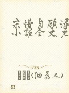 宋惜月顾浔渊的小说全文免费阅读