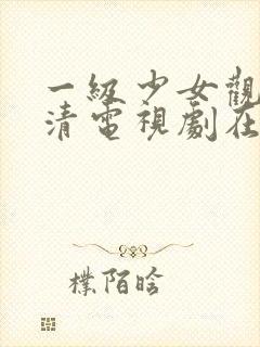 一级少女观看高清电视剧在线