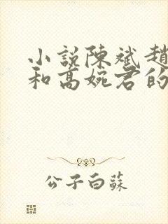 小说陈斌赵心媚和高婉君的小说免费阅读