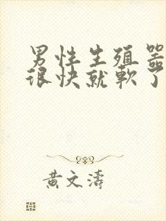 男性生殖器勃起很快就软了