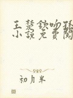 王楚钦吻孙颖莎小说免费阅读