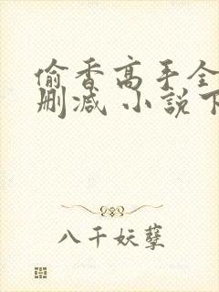 偷香高手全文无删减 小说下载