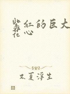 紫红的巨大顶开花心封面