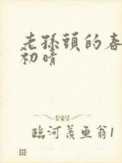 老孙头的春天林初晴