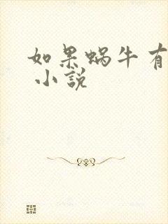 如果蜗牛有爱情 小说